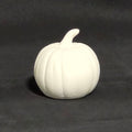 Mini Kürbis hoch