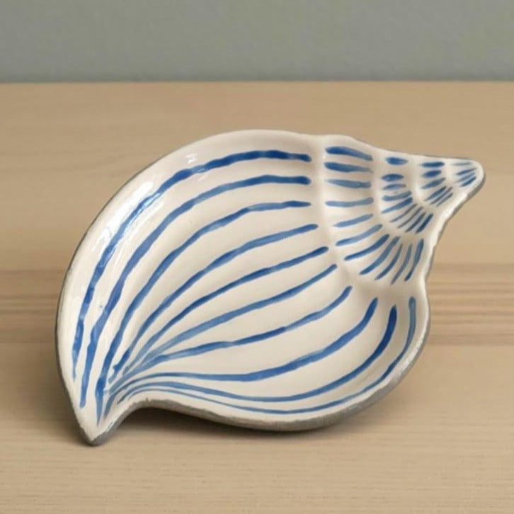 Muscheltellerchen