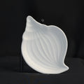 Muscheltellerchen